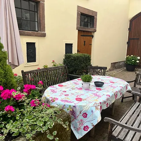 Lejlighed Ess Hof - Altstadt *